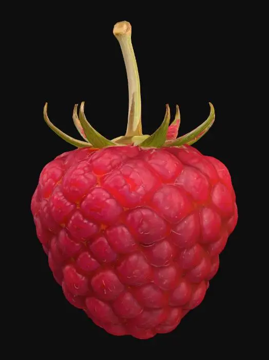 3D model for Raspberry