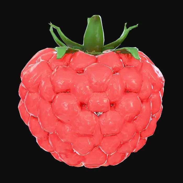 3D model for Raspberry