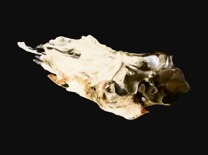 3D model for Ancient artificial asteroid