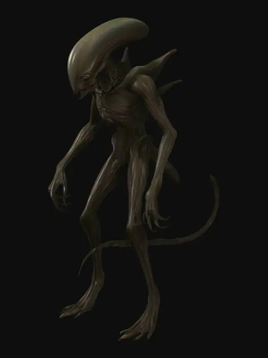 3D model for Xenomorph