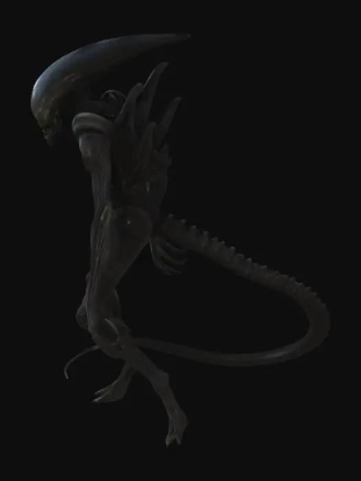 3D model for Xenomorph Stalker