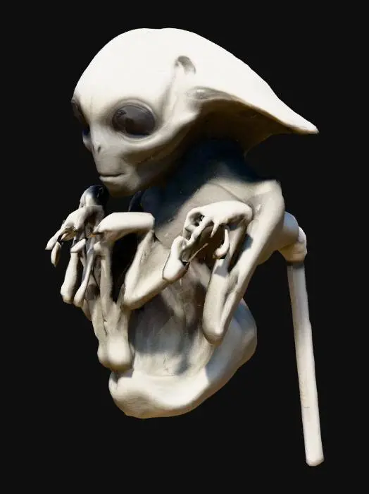 3D model for Alien fetus