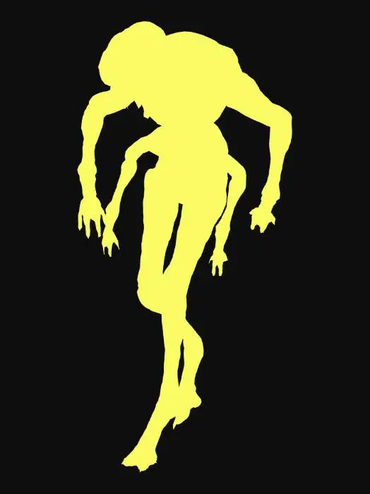 3D model for the fly model my version