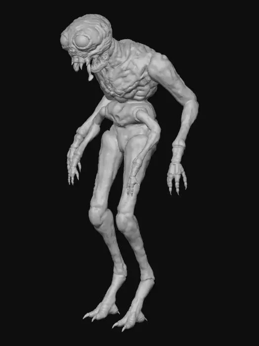 3D model for the fly model my version