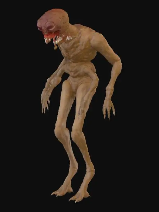 3D model for the fly model my version