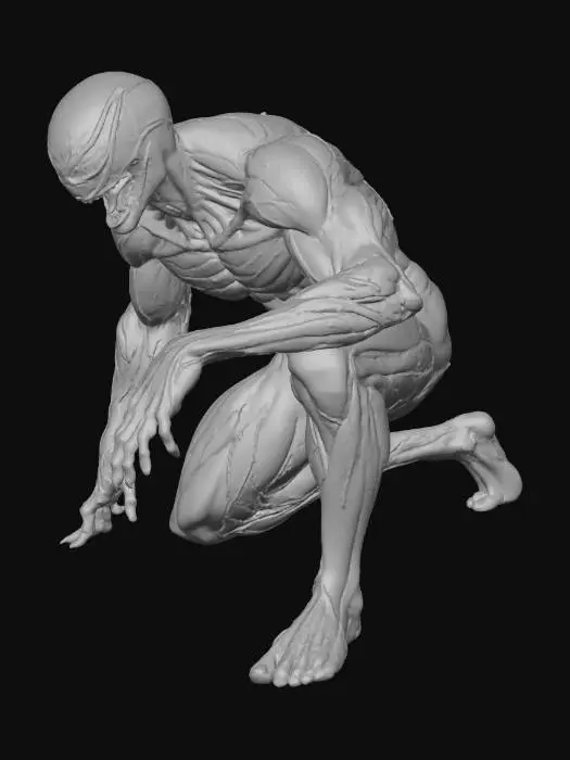 3D model for toxin symbiote