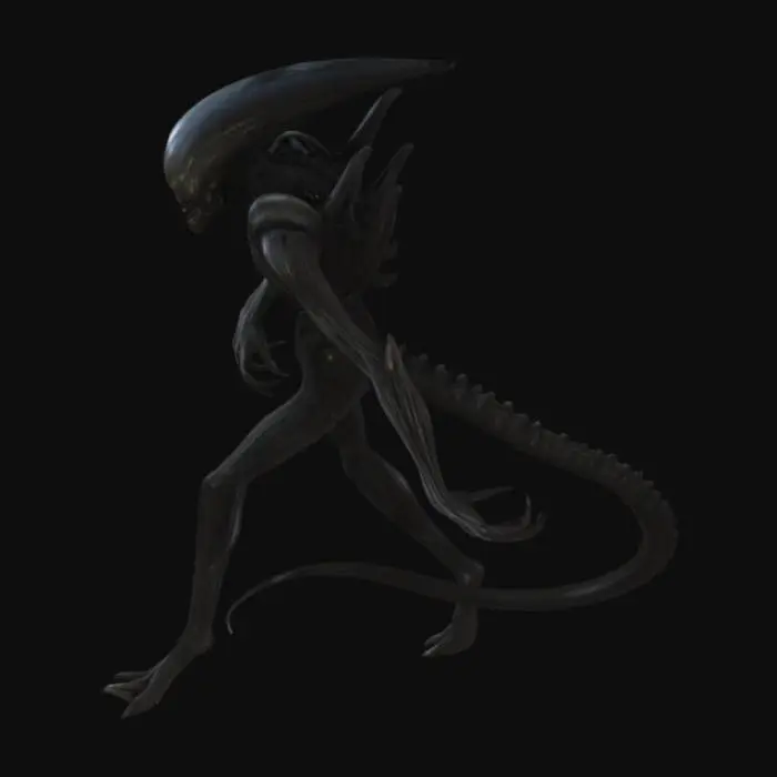 3D model for Xenomorph Stalker