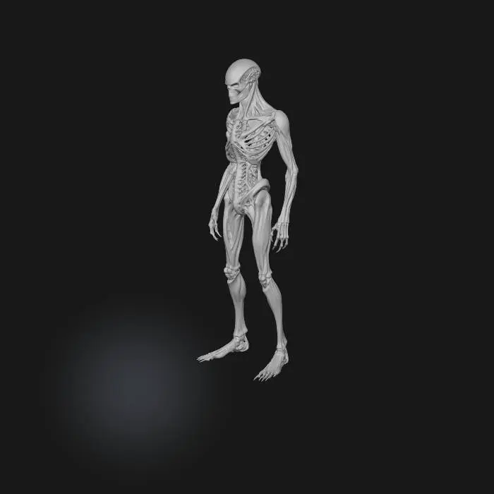 3D model for Xeno-XT-9 Terminator Endoskeleton