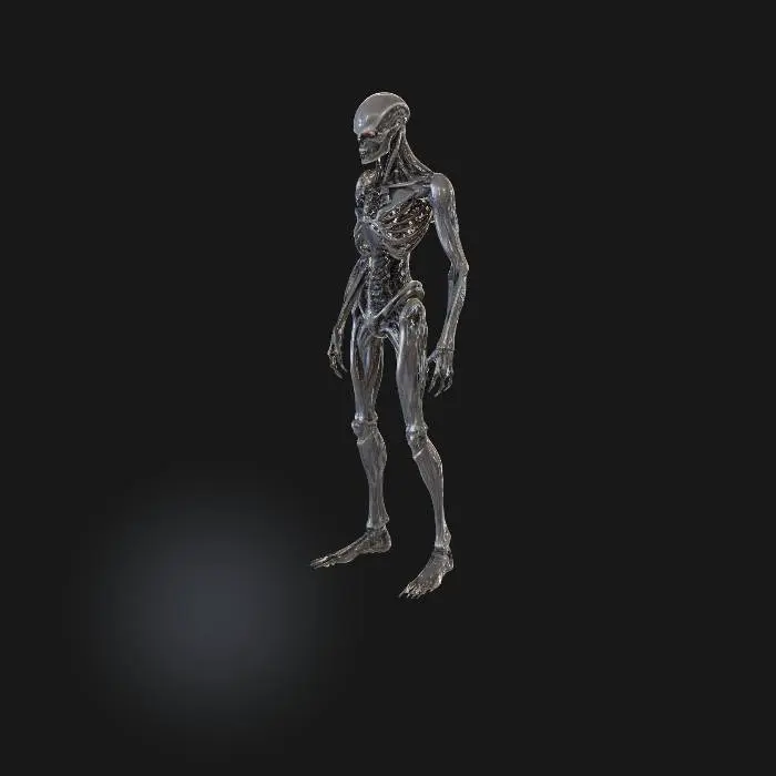 3D model for Xeno-XT-9 Terminator Endoskeleton