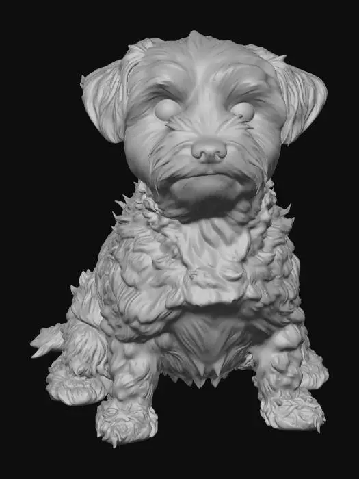 3D model for Salt and Pepper Pup