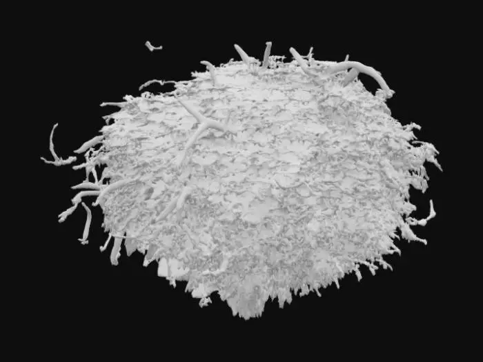 3D model for "overgrown haunted bush, dark leaves, stylized horror, low poly"