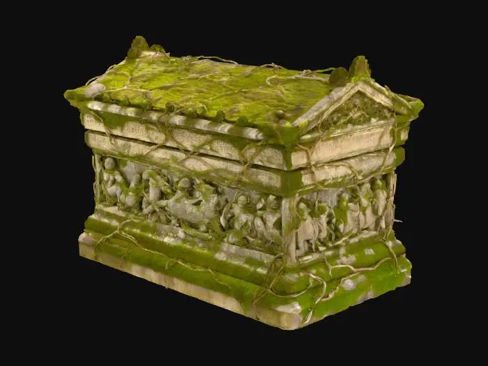 3D model for overgrown sarcophagus