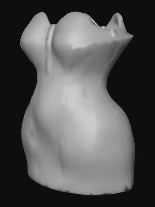 3D model for Disco Outfit