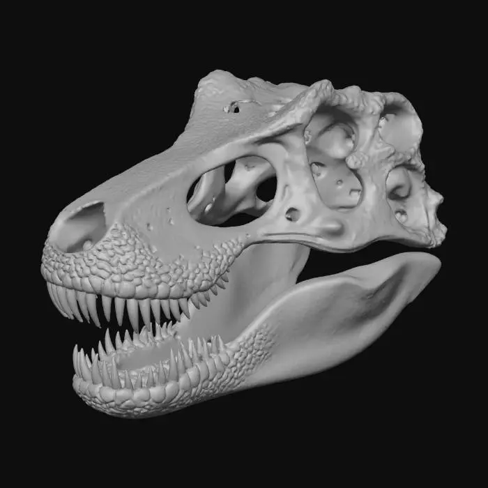 3D model for Fait moi un crane de t-rex de qualité musée. celui-ci devra etre exporter par la suite en 2 partie pour etre imprimé sur bambu studio.