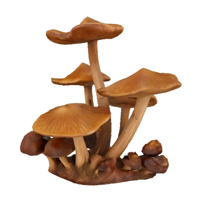 Woodland Sculptures - Carving 的 AI 生成 3D 模型