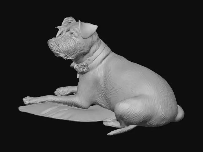 3D model for Bruce Almighty