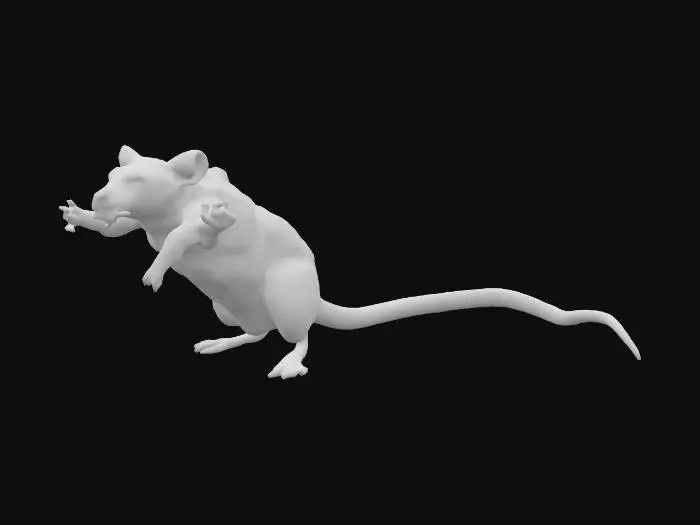 3D model for Create detailed 3D game assets with early 2000s poly counts (3-7.5k polys), inspired by King's Quest and The Outsider. Develop hand-painted, watercolor textures blending vintage adventure game style with cosmic horror aesthetics. Dark and depressing.

First let's make a giant rat that will be an enemy and dwells on the castle. walks in four legs