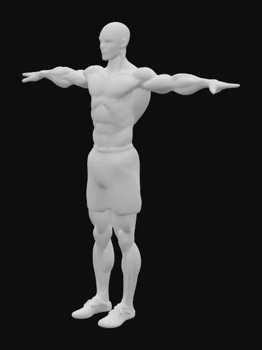 3D model for Front view of a full-body, gender-neutral human anatomy figure in T-pose. Scientific but modern design. All muscle groups visible with detailed striations and fiber lines shaded in grayscale tones. The figure is wearing only blue short sports shorts and dark-colored modern athletic sneakers. Clean modern look, symmetrical, no hair, no genitalia, no nipples. Neutral plain background, centered, professional anatomical reference suitable for 3D modeling.
