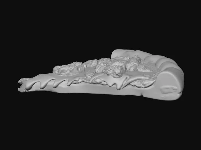 3D model for Heavenly Slice