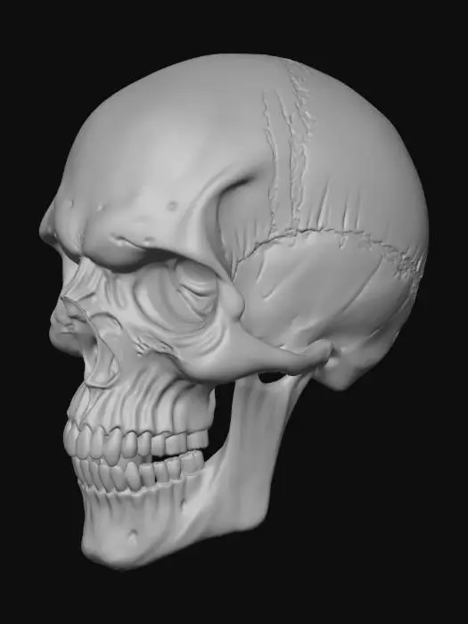 3D model for Skull Wicked Realm JP3D