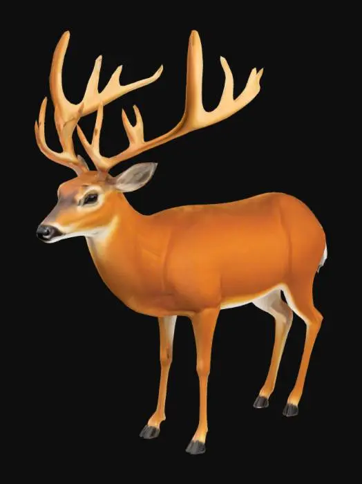 3D model for a stylized whitetail deer