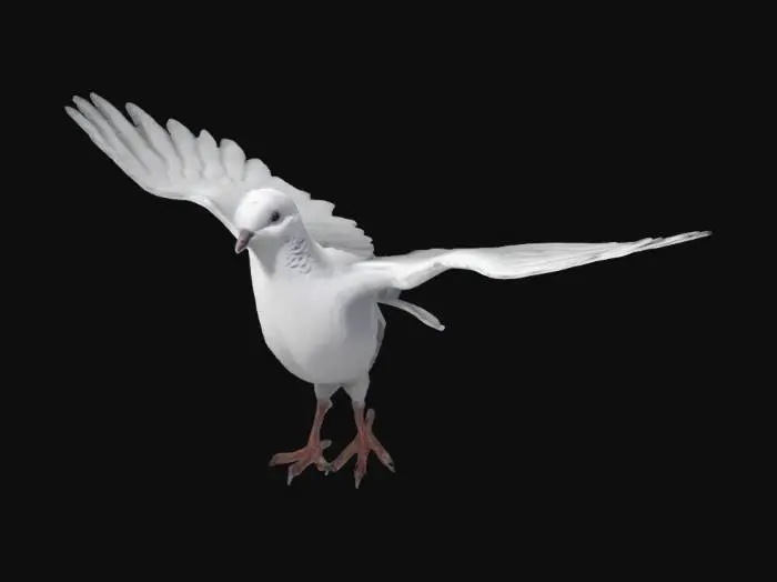 3D model for Dove BIRD WITH T POSE SO I CAN RIG THIS BIRD MODEL 