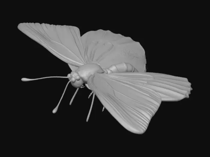 3D model for A realistic cabbage white butterfly