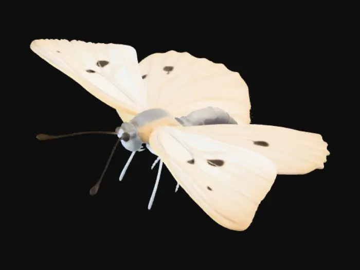 3D model for A realistic cabbage white butterfly