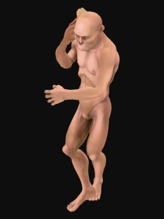 3D model for Neanderthal Toolmaker