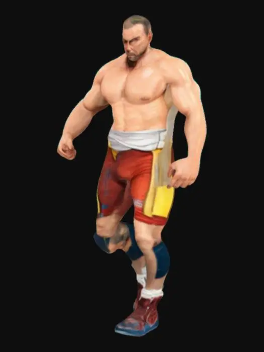 3D model for Wrestler's Determination