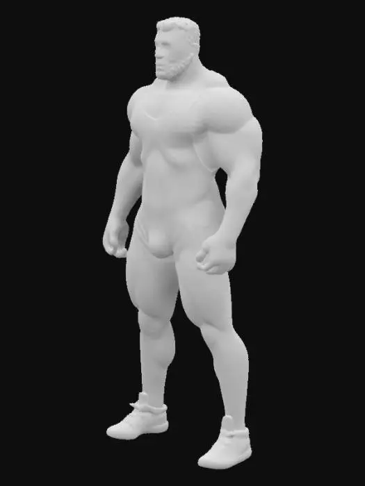 3D model for Wrestling Power