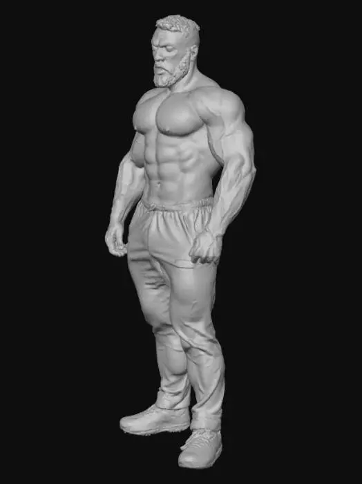 3D model for Strength in Focus