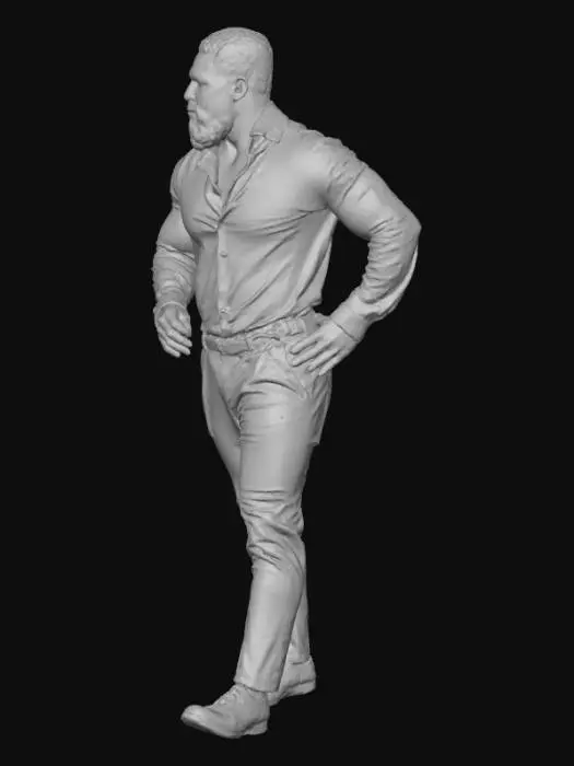 3D model for Confident Stroll