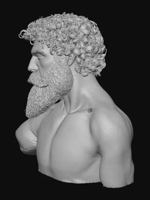 3D model for Curly Bearded Profile