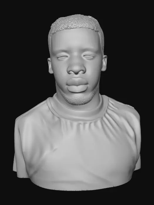 3D model for Portrait in Red Shirt