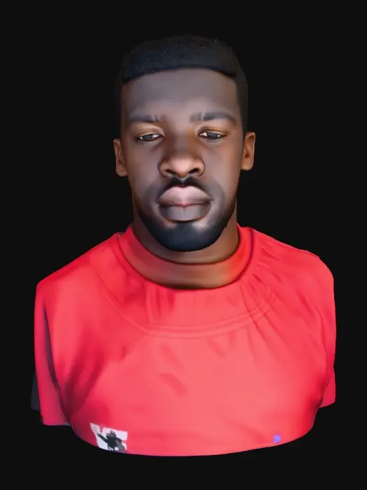 3D model for Portrait in Red Shirt