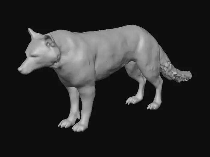 3D model for white wolf