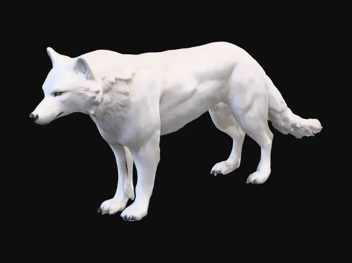 3D model for white wolf