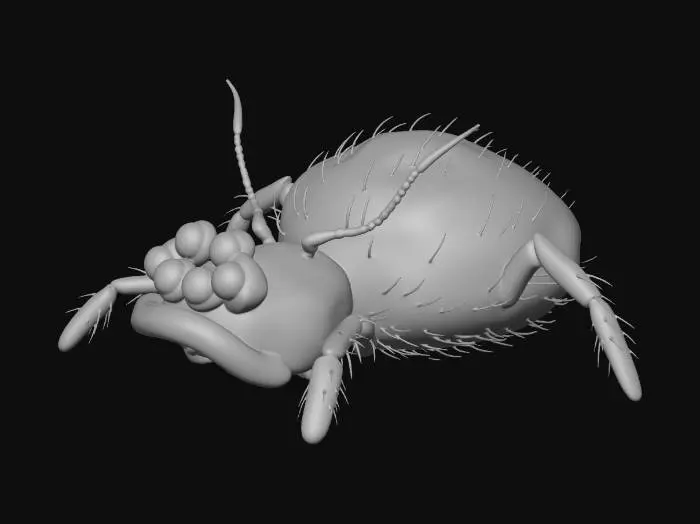 3D model for Purple Arachnid