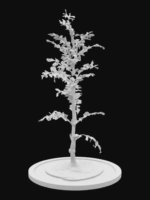 3D model for A wispy alien fern with transparent leaves that shimmer like heat haze. Each leaf constantly shifts color, fading in and out of visibility depending on nearby sound. The base stem is black and fluid-filled, pulsing gently with light. Style: ethereal, stealth-reactive alien plant with a semi-realistic translucent organic texture.