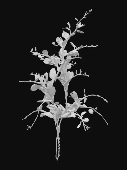 3D model for A wispy alien fern with transparent leaves that shimmer like heat haze. Each leaf constantly shifts color, fading in and out of visibility depending on nearby sound. The base stem is black and fluid-filled, pulsing gently with light. Style: ethereal, stealth-reactive alien plant with a semi-realistic translucent organic texture.