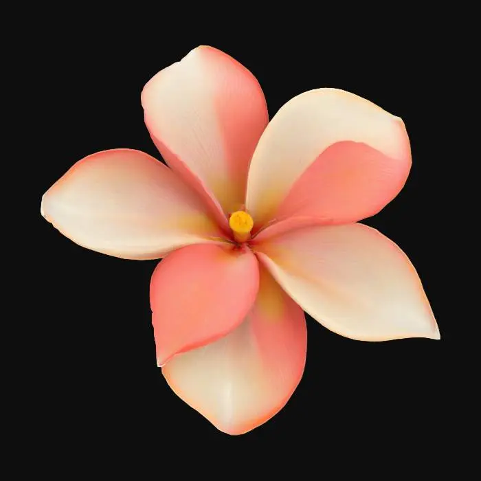 3D model for Tropical five-petaled flower with thick, waxy, oval-shaped petals that slightly overlap in a pinwheel formation. Each petal is smooth, rounded at the tip, and has a subtle curved shape like a teardrop. The petals are creamy white at the center gradually transitioning to soft coral-pink at the edges, with a smooth gradient. Small yellow center visible between the petals. The flower has a flat, open face when viewed from above, with petals radiating outward from the center. Petals have a glossy, smooth texture like porcelain or wax. The overall flower is about 2-3 inches across with substantial, fleshy-looking petals that appear slightly thick and succulent-like. Beautiful tropical styling with clean, simple geometry and elegant proportions.