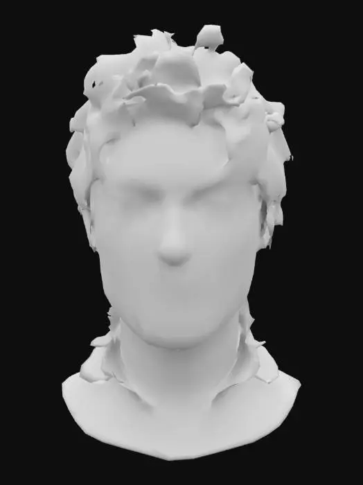 3D model for Unknown Portrait
