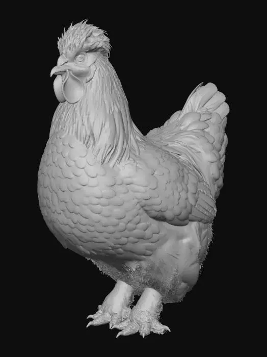 3D model for Fluffy Majesty Silkie named Cottonball