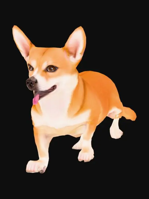 3D model for Corgi dog. Photorealistic.