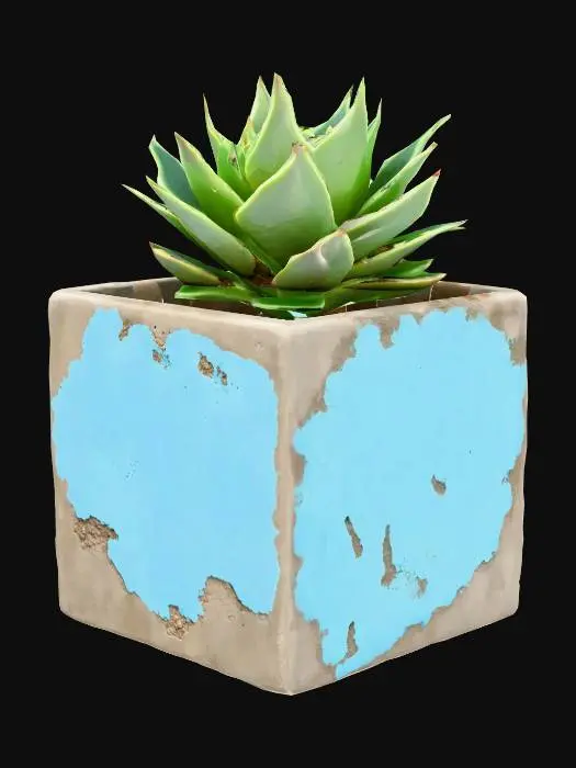 3D model for outdoor cube planter made of concrete with flaking muted blue paint. Succelent growing out of it. photorealistic. hi resolution.