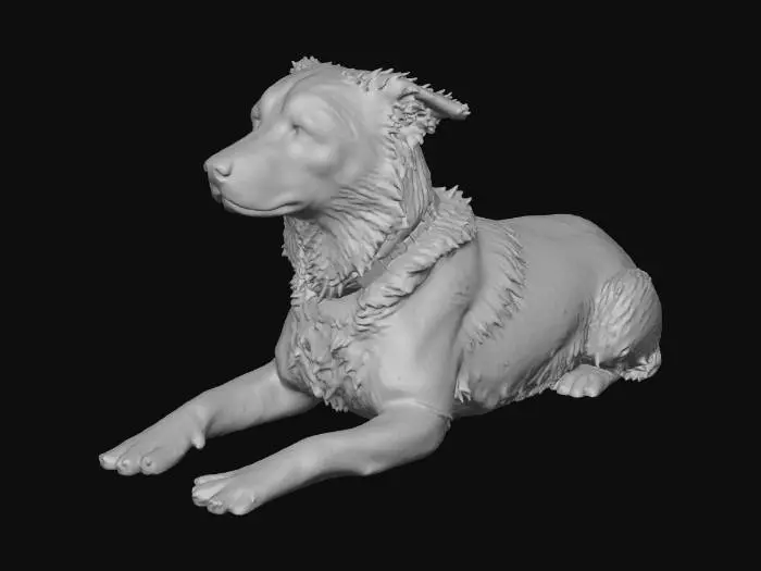 3D model for Beach Day Dog