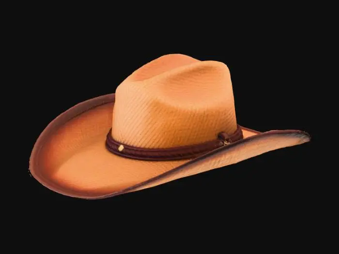 3D model for Design a retro cowboy hat used between 1800 and 1900. Make it with a straw sash. Create a distressed look. Create a realistic, high-quality texture.