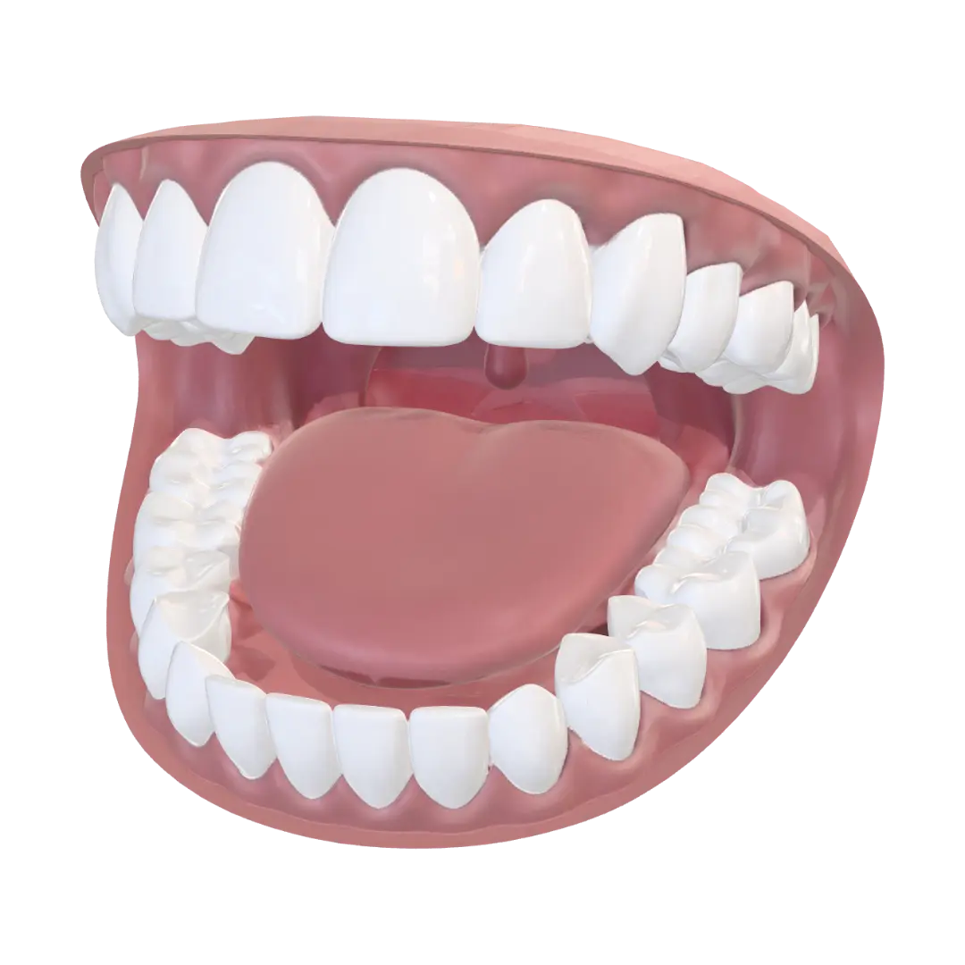 Open Mouth Dental Model - Education 3D model, vytvořený pomocí AI