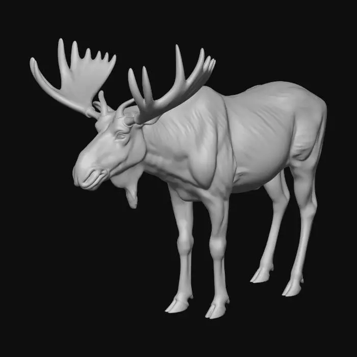 3D model for Moose by the Lake